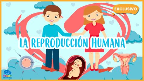 Psiquiatría Mancha Campana Información De La Reproducción Humana
