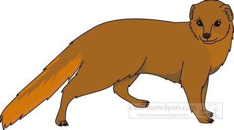 Mongoose Animal Clipart Classroom Clip Art