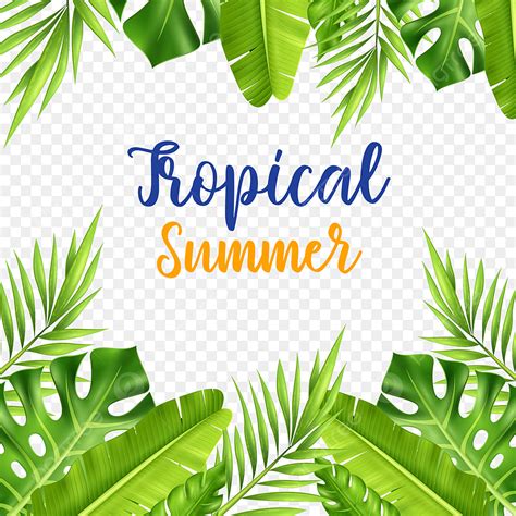 palm tropical summer vector art png tropical summer forest green leaves and palm tropical