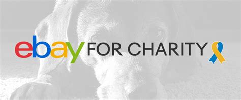 Ebay For Charity Animals In Distress Torbay And Westcountry