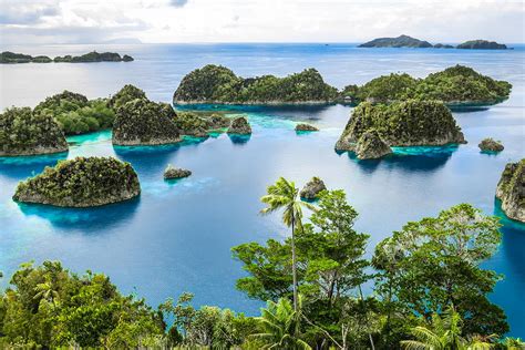 Top 5 Reasons To Visit Raja Ampat Papua Paradise