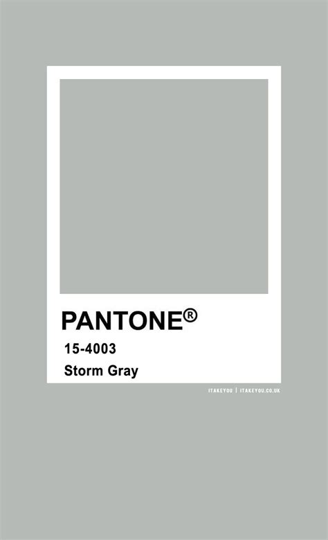 Pantone Color Pantone Storm Gray Color I Take You Wedding Readings
