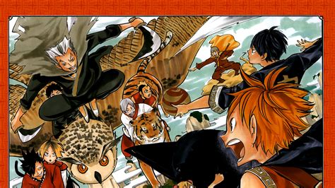 Haikyu Fighting With Wild Team Hd Anime Wallpapers Hd