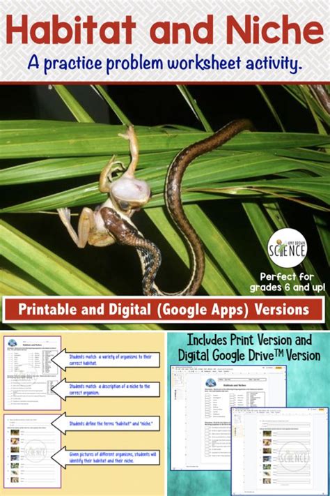 Habitat And Niche Practice Worksheet Printable And Digital Versions