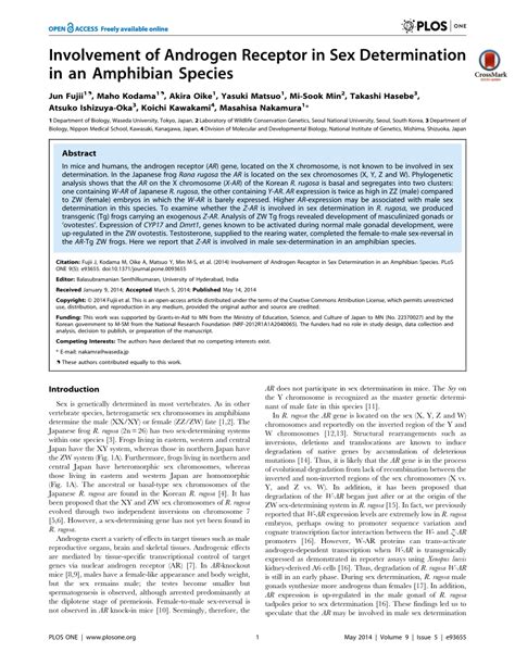 pdf involvement of androgen receptor in sex determination in an amphibian species