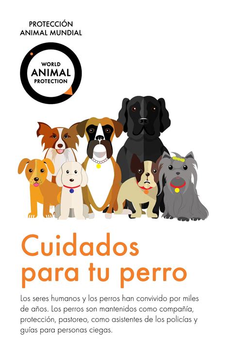 Cuidados Para Tu Perro By World Animal Protection Issuu
