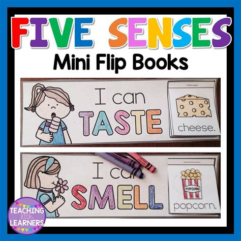 Pin on Teaching Little Learners TPT products