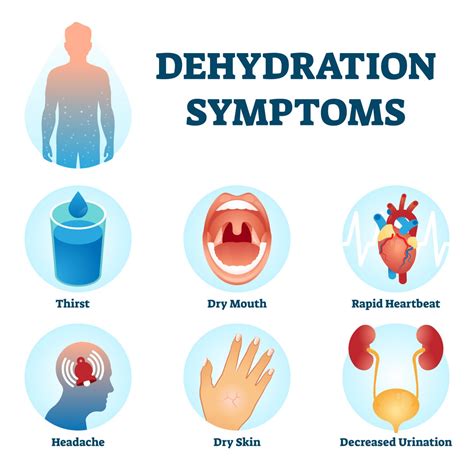 Dehydration Symptoms Vector Illustration Water Deficit Diagnosis