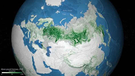 Russias Forests Store More Carbon Than Previously Thought Estimated