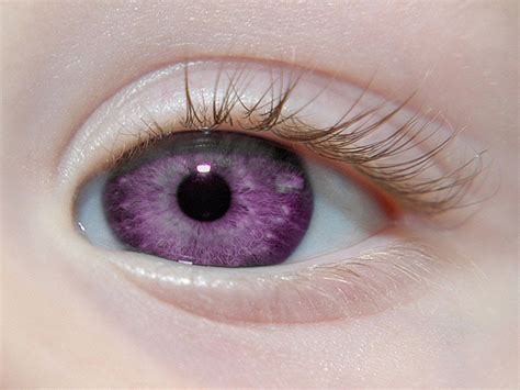 Los Ojos Más Hermosos Y Extraños Del Mundo Violet Eyes Purple Eyes