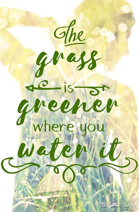 Read these thoughts and their meanings. The grass is greener where you water it. #quote #inspiration #happiness #joy #positivity | Green ...