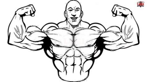 Human Muscles Drawing Free Download On Clipartmag