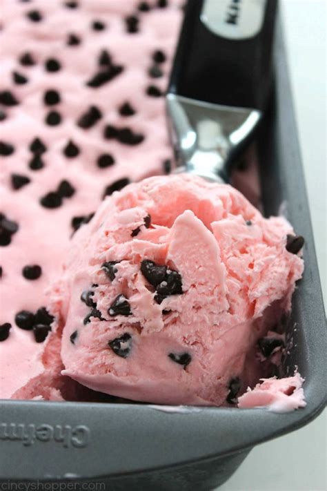 42 Easy Homemade Ice Cream Recipes How To Make Ice Cream At Home