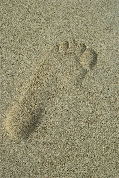 Human footprint on sand-9139 | Stockarch Free Stock Photos