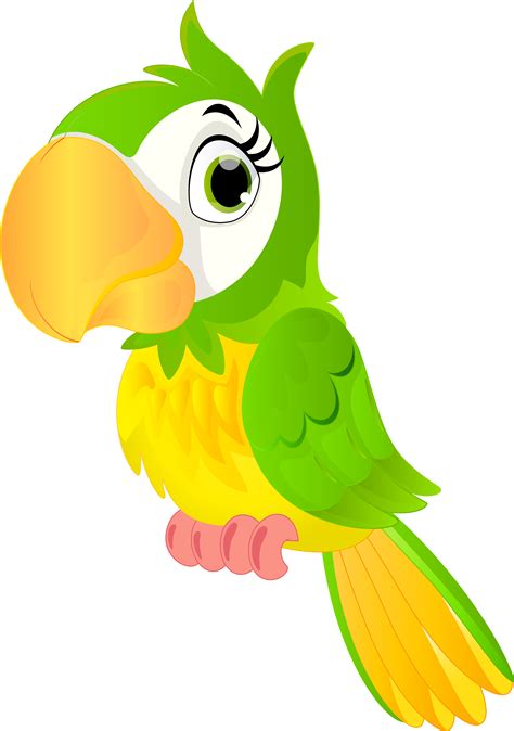 Download Parrot Cartoon Png Clip Art Image Imagenes De Un Loro