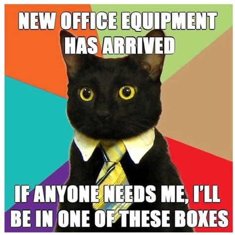 Office Cat Funny Poop Memes Funny Weekend Memes Business Cat