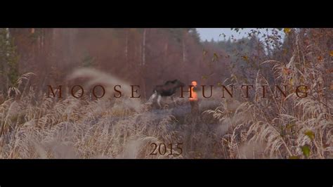 hirvisyksy 2015 moose hunting Älgjakt youtube