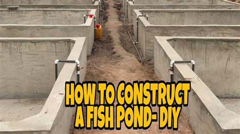 How To Construct A Fish Pond By Yourself Easy Backyard Fish Farm
