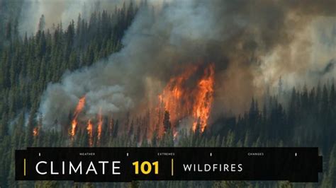 Wildfires Article Forest Fires Information Wildland Fires Facts