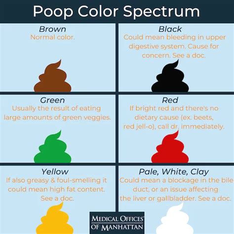 What Does The Different Colors Of Poop Mean The Meaning Of Color