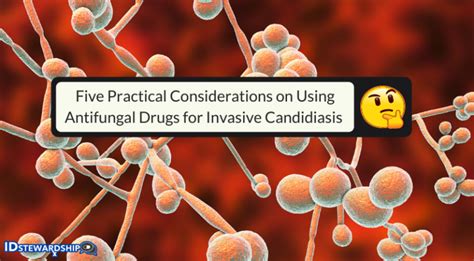 Five Practical Considerations On Using Antifungal Drugs For Invasive