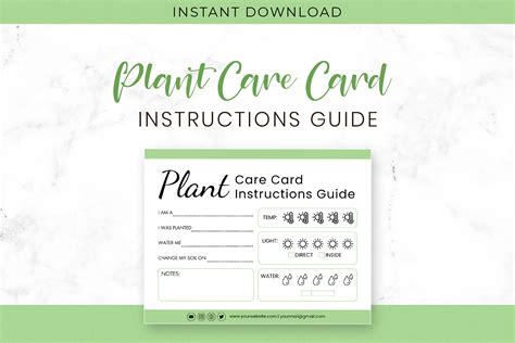 Editable Plant Care Card Canva Template Graphic By Snapybiz · Creative