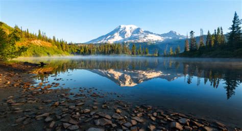 9500 Parque Nacional Del Monte Rainier Fotografías De Stock Fotos E
