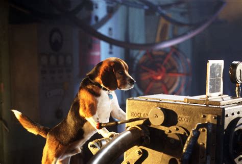Но это заметил пёс по кличке бутч. Film Guru Lad - Film Reviews: Cats & Dogs Review