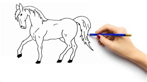 Cara Menggambar Kuda Tutorial Gambar Kuda Art Sketsa Youtube