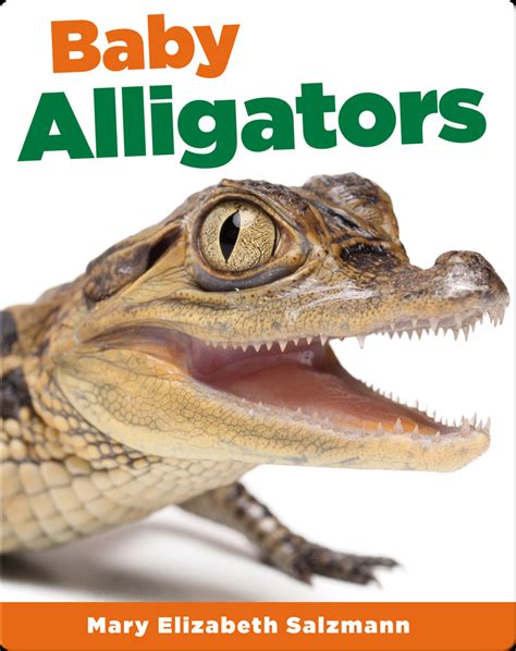 Baby Alligators Childrens Book By Mark Elizabeth Salzmann Discover