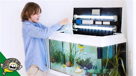 Beginners Guide To Setting Up Of A 10 Gallon Aquarium Fishxperts