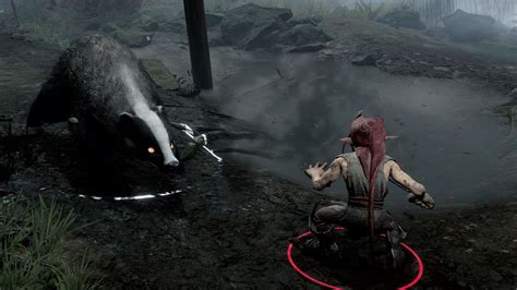Baldurs Gate 3 Natures Power Lets You Shapeshift Into A Giant Badger