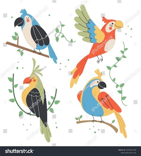 Different Type Jungle Tropic Birds Isolated Stock Vector Royalty Free