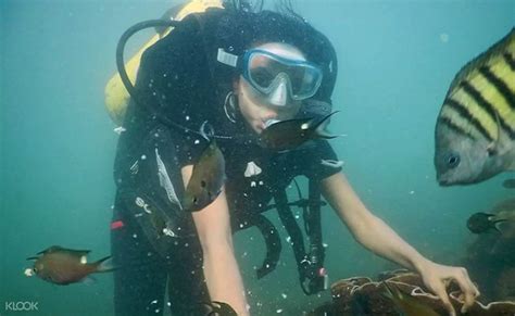 Scuba Diving Experience In A Private Island In Goa India