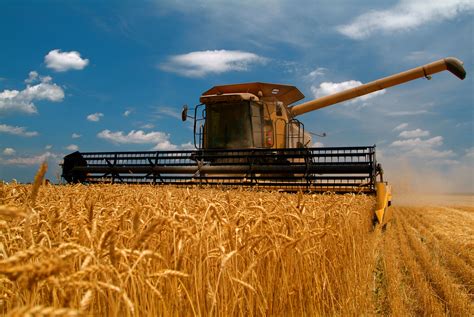 China Is Said To Consider Buying Up To 7m Tons Of Us Wheat Agweb