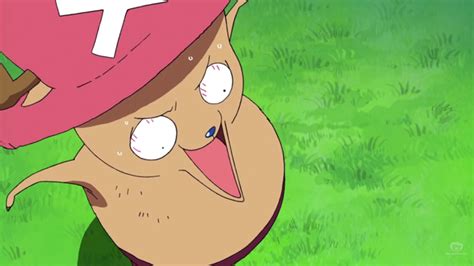 Chopper Surprised Anime One Fictional Characters Character