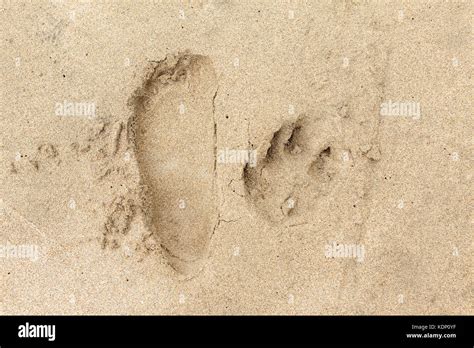 Footprint Y Huellas En La Arena Fotografía De Stock Alamy