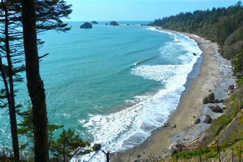 My First Washington Coast Hike Seattle