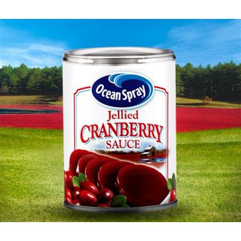 Ocean spray cranberry sauce meatballs. Ocean Spray Jellied Cranberry Sauce, 14 Oz - Walmart.com - Walmart.com