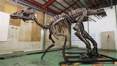 Giant Dinosaur Skeleton Fabiennekyle