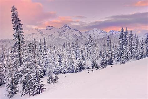 Mt Rainier Winter Sunset Flickr Photo Sharing Rainy Winter Winter