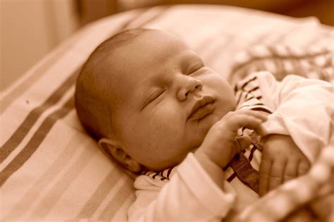 Baby Sepia Schlafen Kostenloses Foto Auf Pixabay