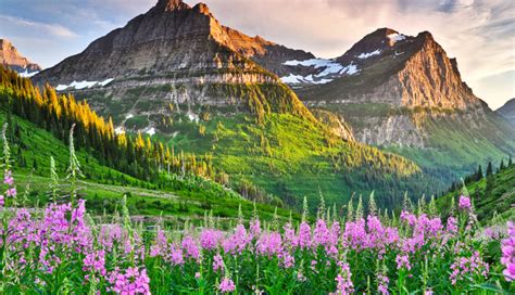 5 Most Beautiful Places You Can Visit In Montana