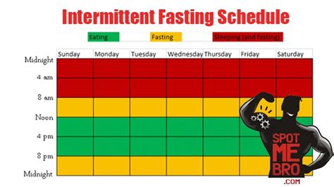 Bodybuilding Intermittent Fasting •