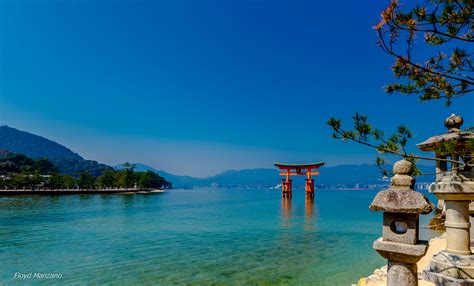 7 Things To Know About Miyajima Island Trip N Travel