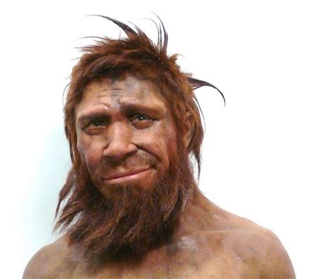 Humans Started Having Sex With Neanderthals Over 100000 Years Ago Ars Technica
