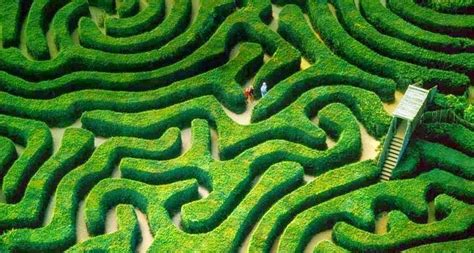 Longleat Hedge Maze The Longest In The World Amusing Planet