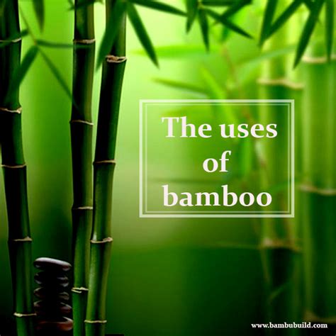 The Uses Of Bamboo Bambubuild