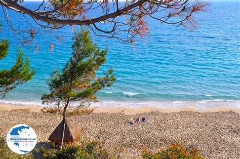 Lassi Kefalonia Holidays In Lassi Greece Guide