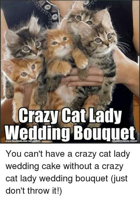 Pin By Rhonda Bradshaw On Cats Crazy Cat Lady Meme Crazy Cat Lady